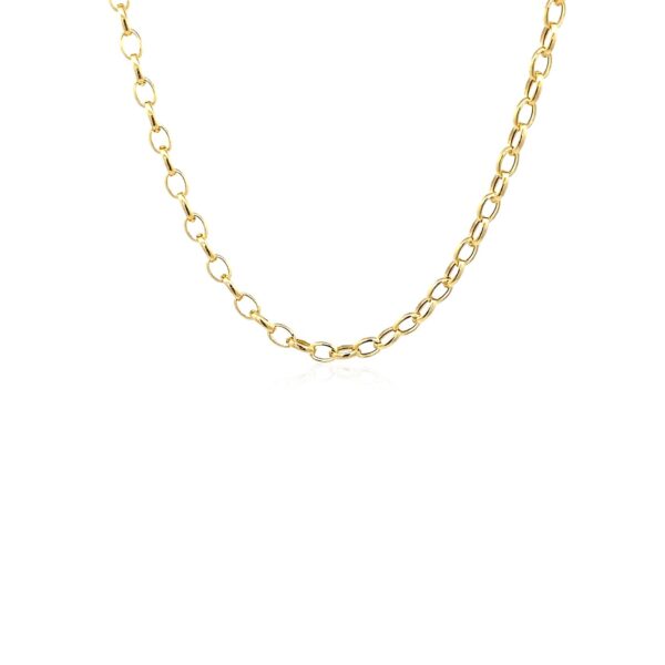 14k Yellow Gold Oval Rolo Chain (3.20 mm) - Image 2
