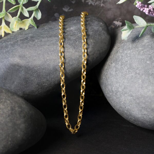 14k Yellow Gold Oval Rolo Chain (3.20 mm) - Image 3