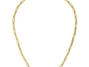 10K Yellow Gold Lite Paperclip Chain (4.20 mm)
